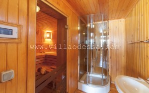 watermarked - Luxury Villa in Odessa Ukraine for Booking, photo 43